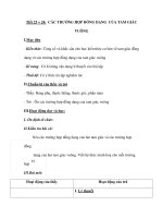 Tiết 23 + 24: CÁC TRƯỜNG HỢP ĐỒNG DẠNG CỦA TAM GIÁC VUÔNG docx