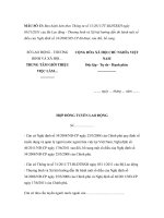 MẪU HỢP ĐỒNG TUYỂN LAO ĐỘNG pptx