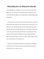 Nhân giống hoa cúc bằng tách mầm giá potx