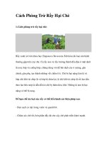 Cách Phòng Trừ Rầy Hại Chè docx