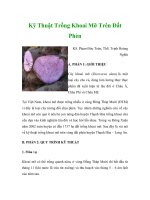 Kỹ Thuật Trồng Khoai Mỡ Trên Đất Phèn docx