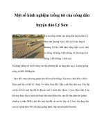 Một số kinh nghiệm trồng tỏi của nông dân huyện đảo Lý Sơn doc