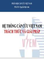 Báo cáo Hệ thống cấp cứu Việt Nam thách thức và giải pháp  PGS.TS. Nguyễn Đạt Anh