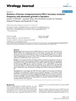 Báo cáo hóa học: 