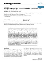 Báo cáo hóa học: 