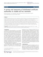 Báo cáo hóa học: 