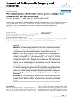 báo cáo hóa học: