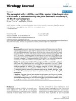 Báo cáo hóa học: 