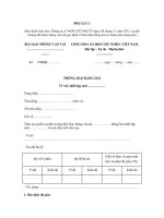 MẪU THÔNG BÁO HÀNG HẢI Về việc thiết lập mới ppt