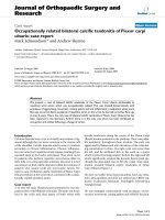 báo cáo hóa học: