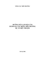 HƯỚNG dẫn lập báo cáo  ĐÁNH GIÁ tác ĐỘNG môi TRƯỜNG  dự án dệt NHUỘM