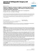 báo cáo hóa học: