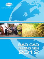 báo cáo thường niên 2012 công ty cp xuất nhập khẩu an giang