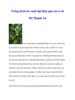 Trồng bưởi da xanh đạt hiệu quả cao ở xã Mỹ Thạnh An potx