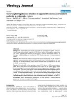 Báo cáo hóa học: 