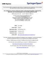 Báo cáo toán học: 