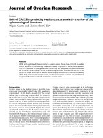 báo cáo hóa học: