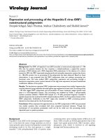 Báo cáo hóa học: 