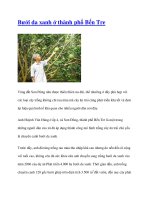 Bưởi da xanh ở thành phố Bến Tre pot