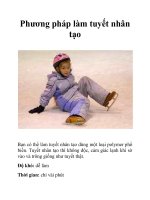 Phương pháp làm tuyết nhân tạoBạn có thể làm tuyết nhân tạo dùng một loại doc