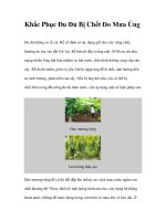 Khắc Phục Đu Đủ Bị Chết Do Mưa Úng potx
