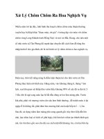 Xử Lý Chôm Chôm Ra Hoa Nghịch Vụ ppt