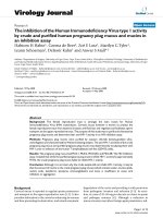 Báo cáo hóa học: 