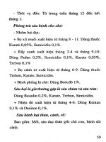 Thực hành trồng cây ở vùng trung du part 9 pdf