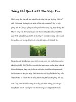 Trồng Khổ Qua Lai F1 Thu Nhập Cao pptx