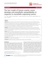 báo cáo hóa học: