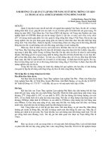 Nghiên cứu khoa học 