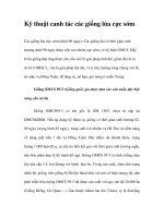 Kỹ thuật canh tác các giống lúa cực sớm potx