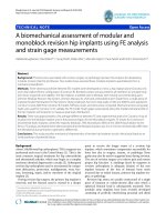 báo cáo hóa học: