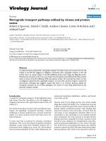 Báo cáo hóa học: 