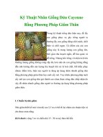 Kỹ Thuật Nhân Giống Dứa Cayenne Bằng Phương Pháp Giâm Thân docx