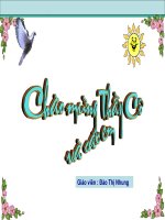 Đặc điểm bên ngoài của lá