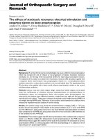 báo cáo hóa học: