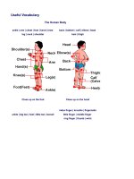 Useful Vocabulary (từ vựng tiếng anh) pptx