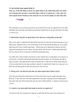 12 câu hỏi khi chọn lựa ngành kinh tế