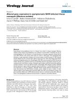 Báo cáo hóa học: 