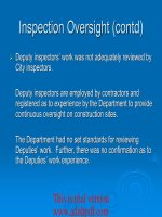 Performance and Financial Audits at the Department of Building and Safety_part2 pot