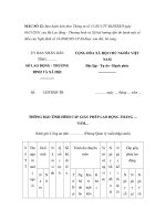MẪU THÔNG BÁO TÌNH HÌNH CẤP GIẤY PHÉP LAO ĐỘNG ppt