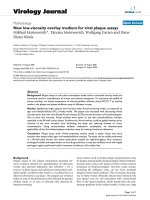 Báo cáo hóa học: 