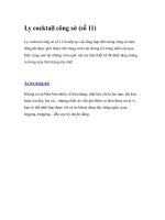 Ly cocktail công sở (số 11) docx