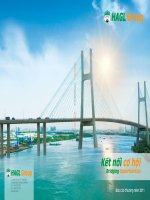 kết nối cơ hội bridging opportunities hagl group báo cáo thường niên 2011