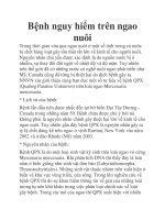 Bệnh nguy hiểm trên ngao nuôi pot