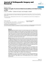 báo cáo hóa học: