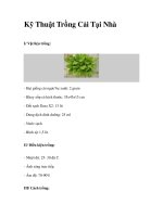 Kỹ Thuật Trồng Cải Tại Nhà potx