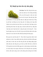Kỹ thuật tạo tán cho cây nho ghép pdf
