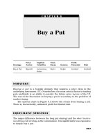 Option Strategies Profit Making Techniques for Stock Index and Commodity Options 2nd Edition_6 potx